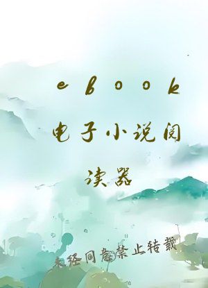 ebook电子小说阅读器