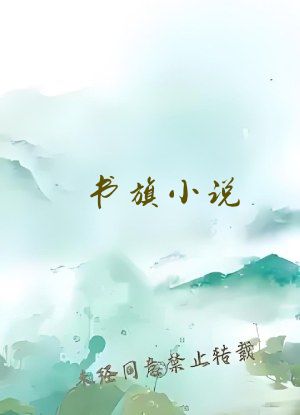 书旗小说