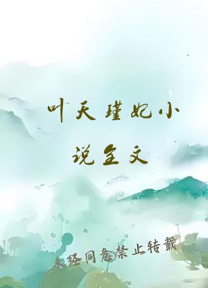 叶天瑾妃小说全文