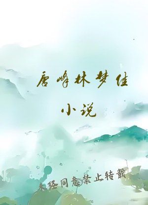 唐峰林梦佳小说