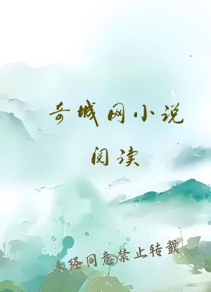 奇城网小说阅读