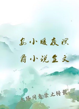 安小暖夜溟爵小说全文