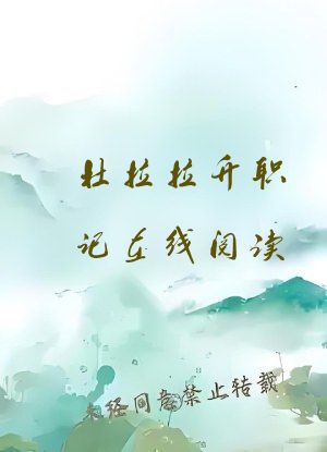 杜拉拉升职记在线阅读