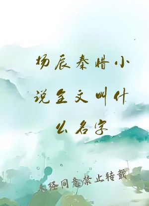 杨辰秦惜小说全文叫什么名字