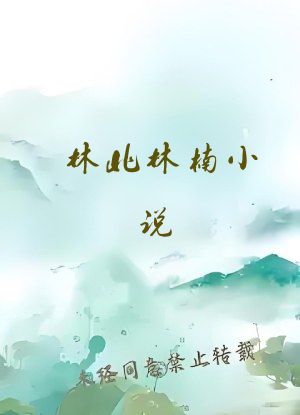 林北林楠小说