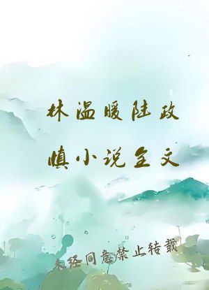 林温暖陆政慎小说全文