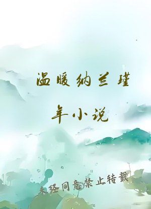 温暖纳兰瑾年小说