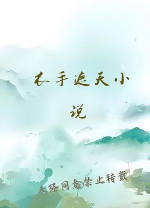 衣手遮天小说