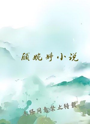 顾婉婷小说